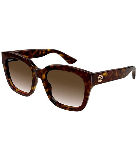 gucci havana brown cat eye sunglasses|gucci havana sunglasses men's.